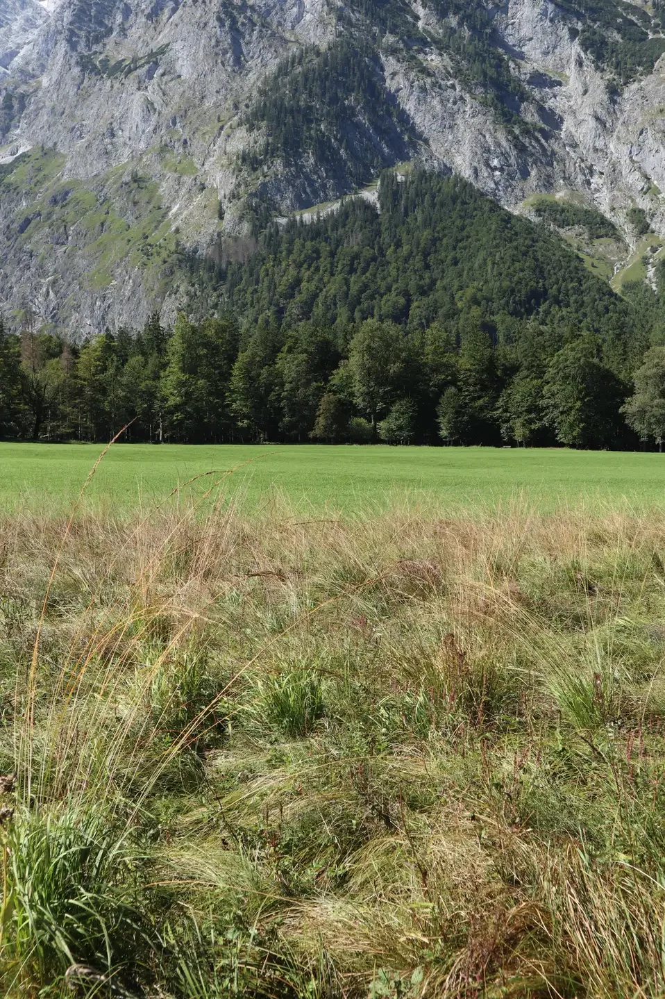 Königssee scene 6