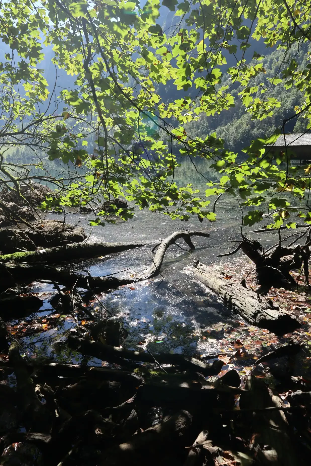 Königssee scene 7